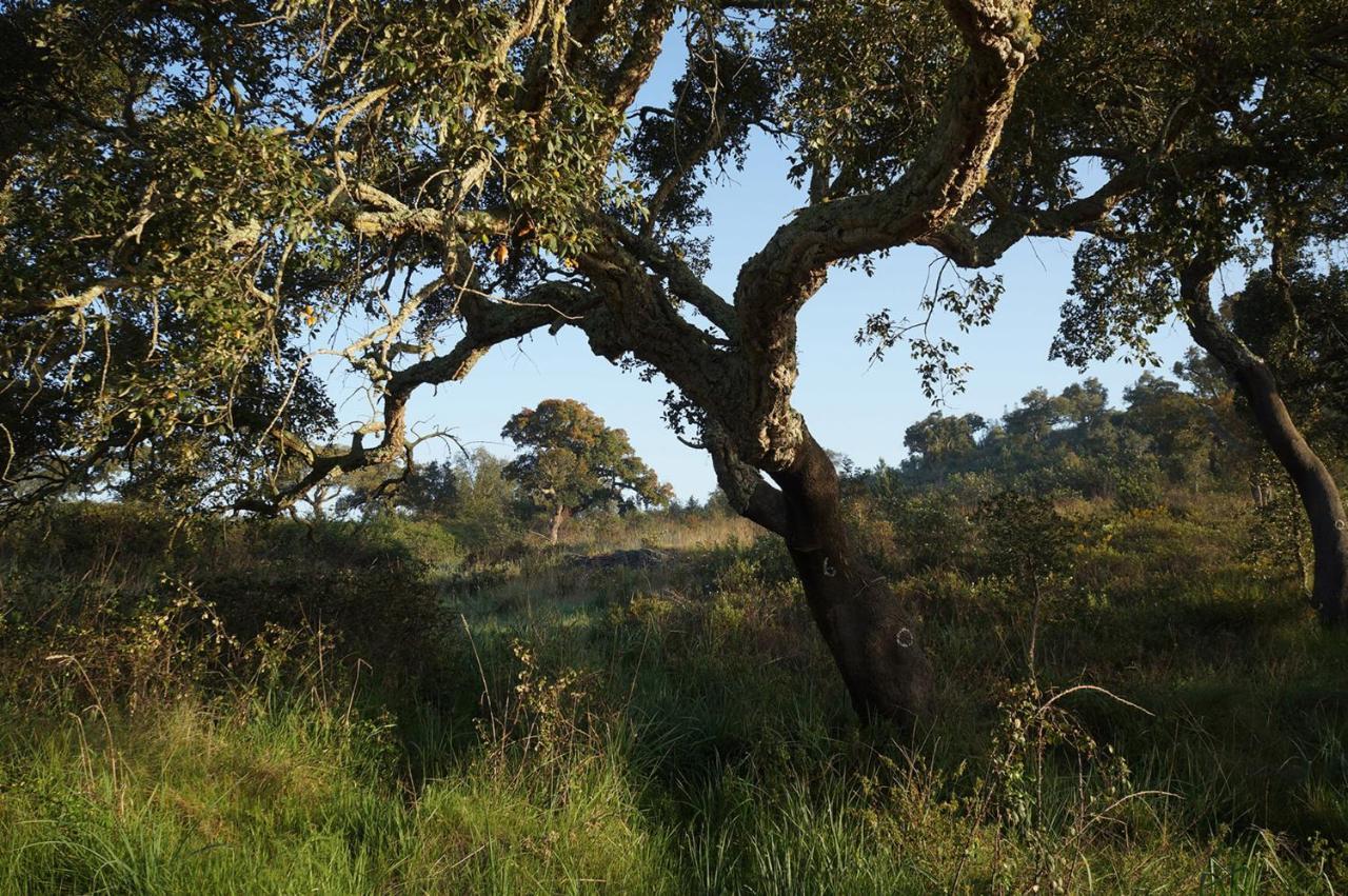 Moba - Monte Do Barranquinho Lägenhet São Luis Exteriör bild